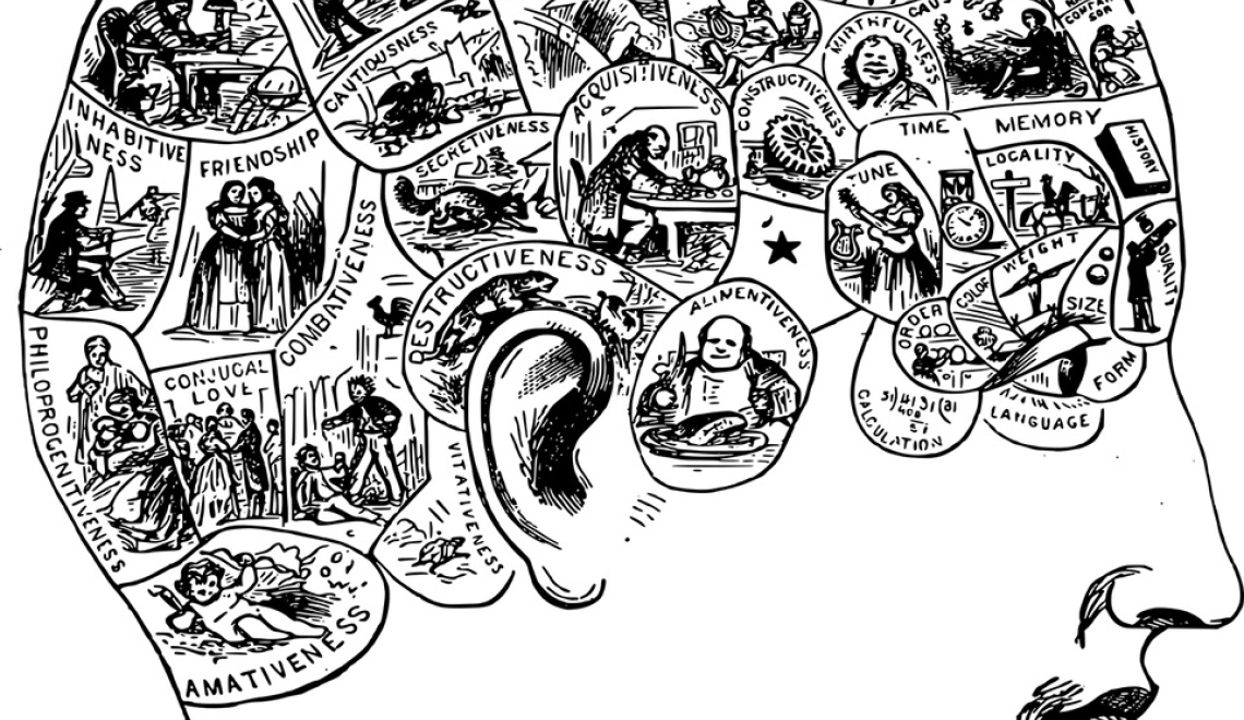 Brain Function Phrenology - OpenClipartVectors - pixabay Abbildung von Kopfzeichnung Einteilung der Regionen