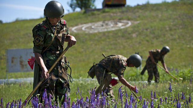 Abbildung von Soldaten auf Blumenfeld