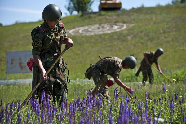 Abbildung von Soldaten auf Blumenfeld
