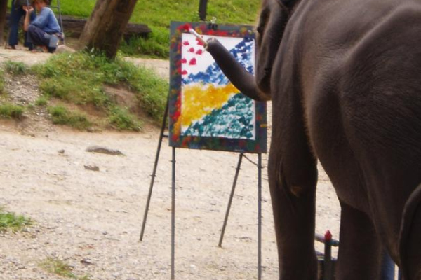 Abbildung von malendem Elefanten