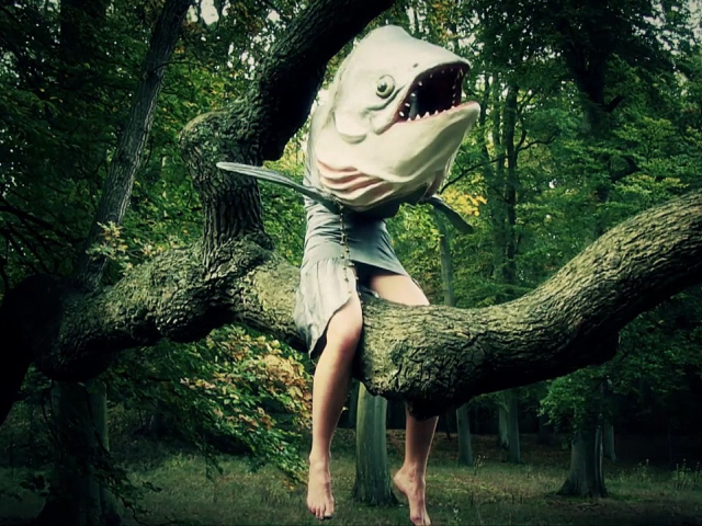 Filmausschnitt aus dem Film Into the Woods