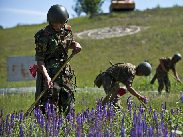 Abbildung von Soldaten auf Blumenfeld
