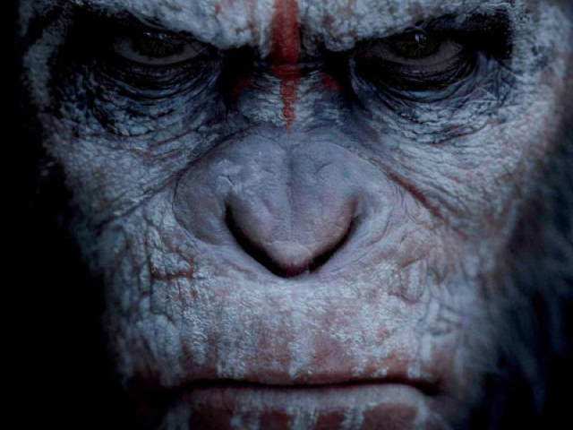 Abbildung des BluRay DVD Covers zum Kinofilm - Planet der Affen Revolution - 2014